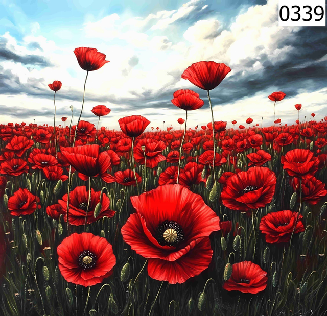 Panneau coquelicots en Velours - 30x30cm    