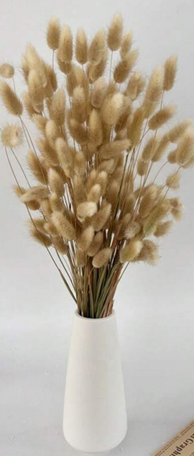 fleur séchée pompom