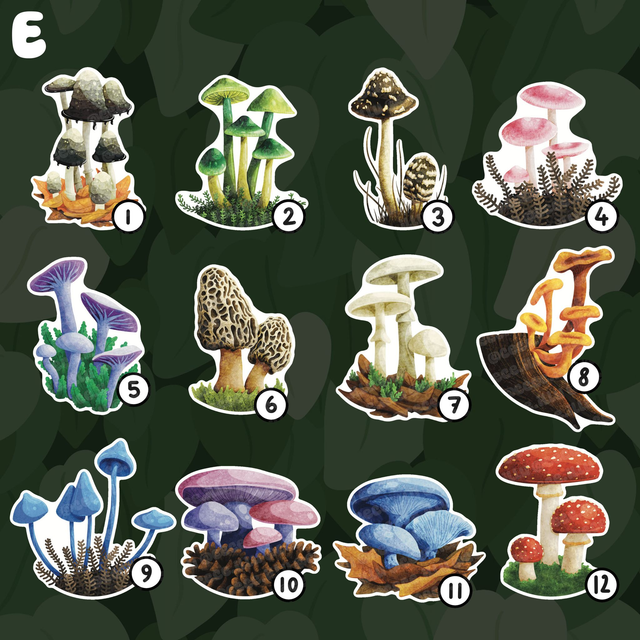 Crée ton Lot de Stickers !