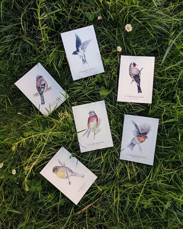 Carte au choix - Collection "Messagers du printemps"