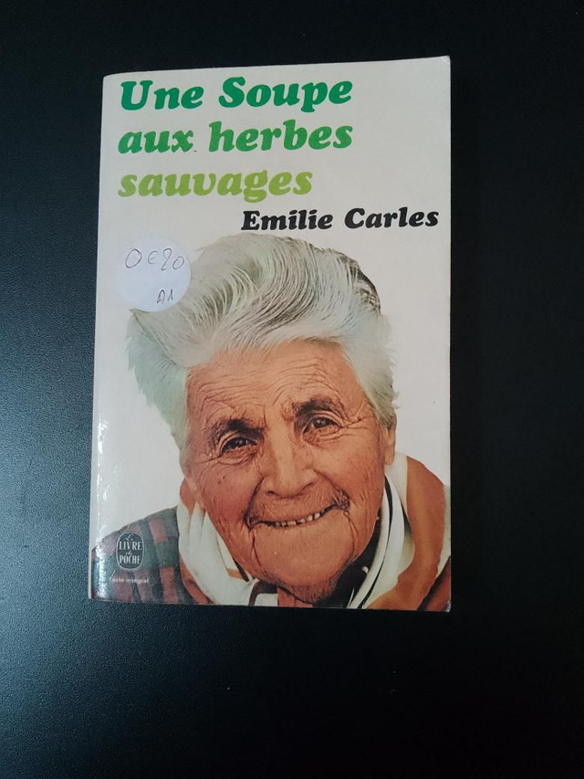 Une soupe aux herbes sauvages, Émilie Charles