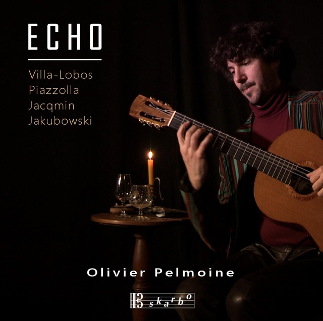 ECHO / Olivier Pelmoine, guitare