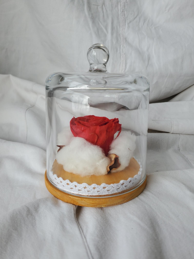 S09 Rose rouge en nid de coton