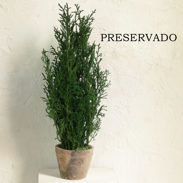 CL371 - MACETAS PLANTA ARTIFICIAL surtidas y CIPRÉS