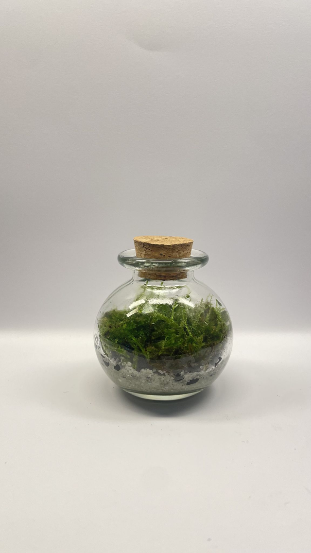 Biosphère bioactive "mini potion"