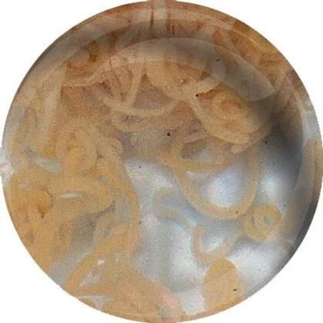 Levende enchytraeen 4038358100147