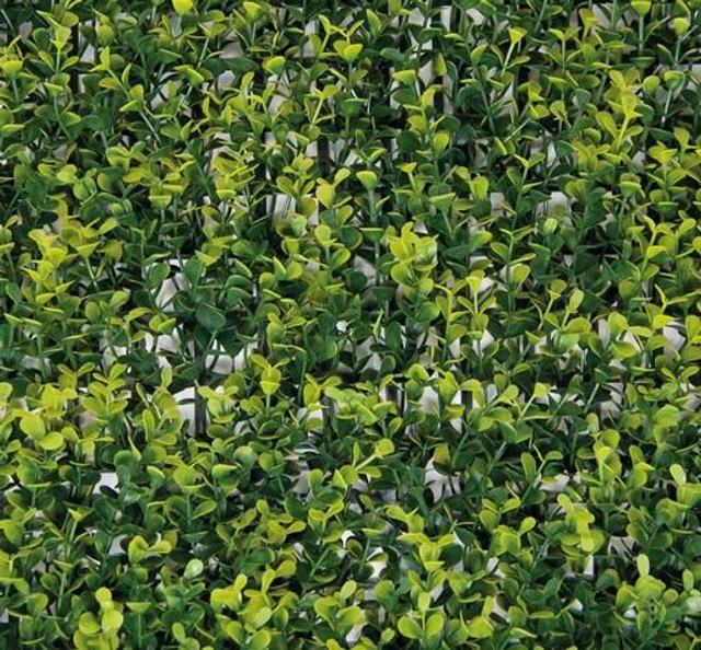 Siepe Sintetica - Divy Buxus Giallo-Verde