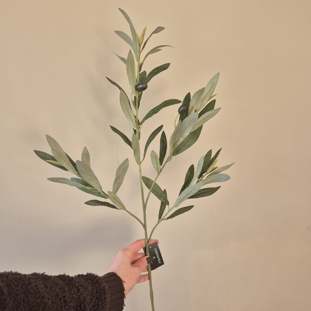 Olijftak klein