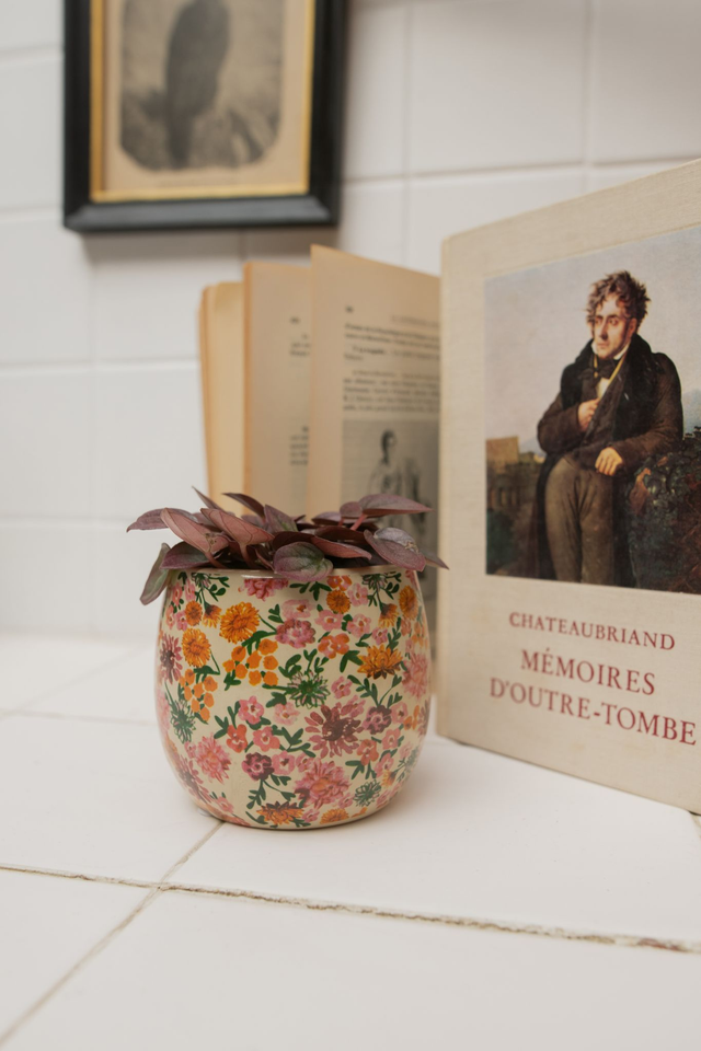 Floral Vintage 💮 Cache-pot + Peperomia