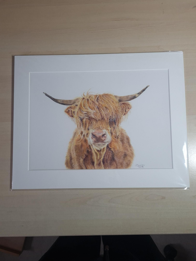 Highland Cow Original Drawing