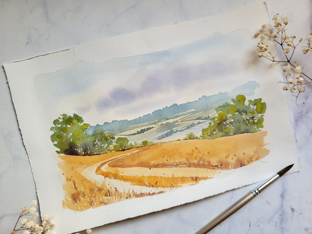 Chemin et champ de blé