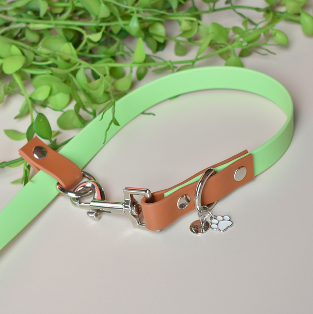 Handsfree Biothane Leiband "munt"