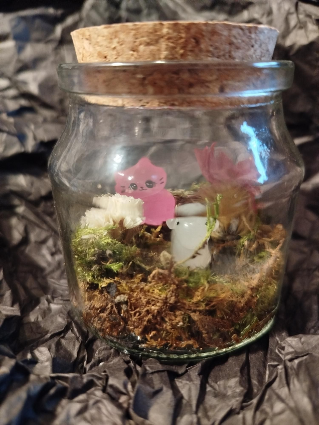 Team chaton rose et son ami 