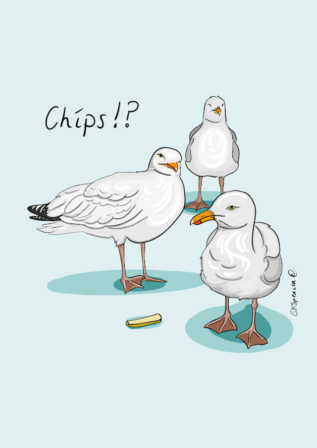 A4 Print Chips?! Seagulls about to start beef over a Chip 🍟 