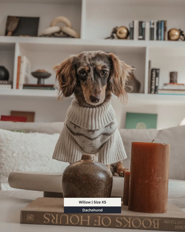 By Teddy Roll Neck Knit - Winter Trees