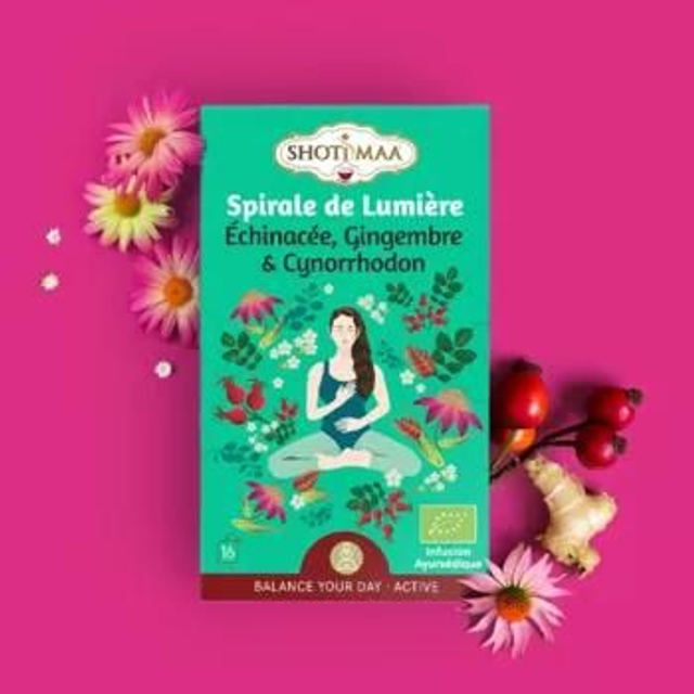 Tisane bio "Spirale de lumière" Échinacée, Gingembre, Cynorrhodon