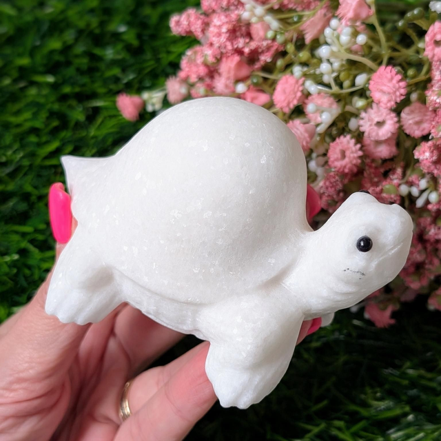 White Jade Tortoise 🐢