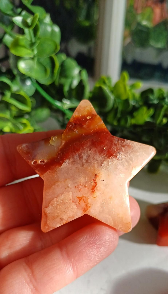 Carnelian with Flower Agate Star No. 4