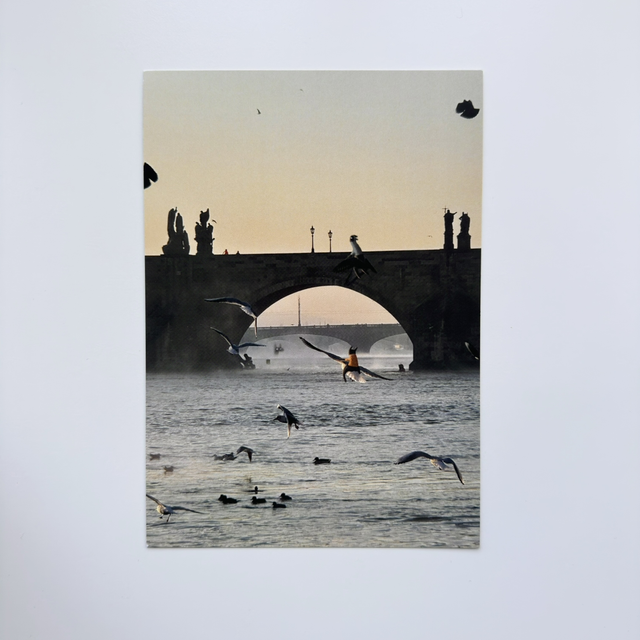 Charles Bridge Winter Sunrise