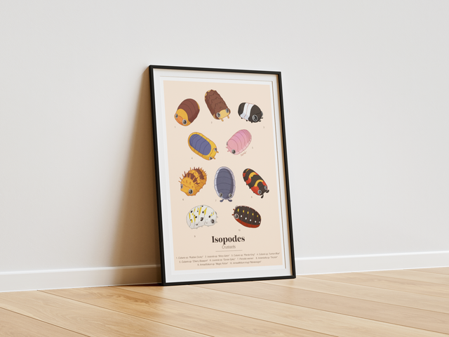 Collection "Planche d'études" - Isopodes