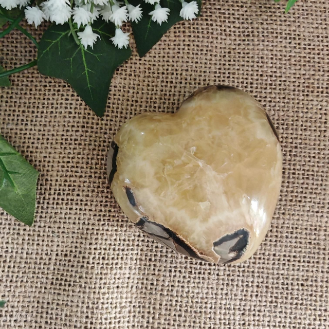 Cœur Septaria  (70mm)