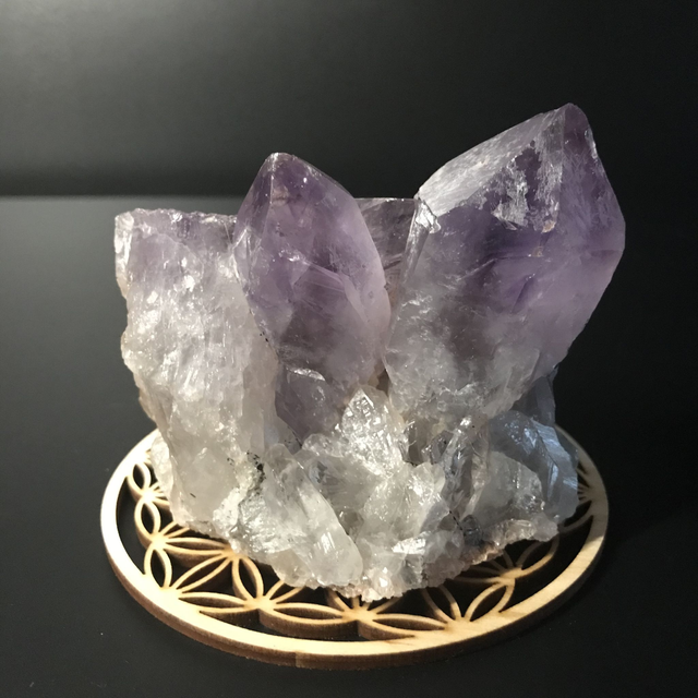 AMETHYSTE JACARANDA - CLUSTER [ ZAMBIE / Afrique Australe]