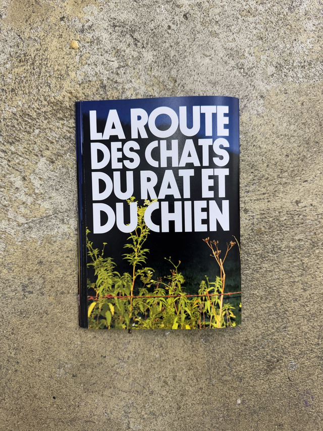 Hugo Lefilleul, La route des chats du rat et du chien, 2025