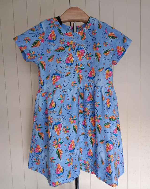 Dress - 2 yrs (92 cm).   Funky chicks