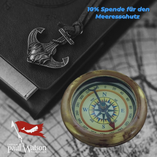 Kleiner Taschenkompass 