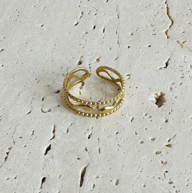 Ring slangen 