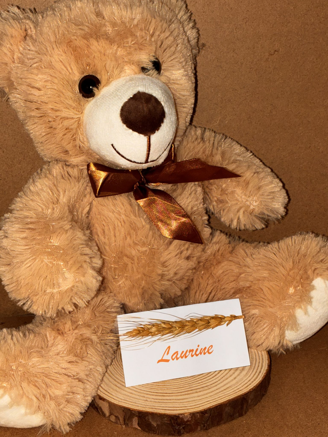 Marque place "Champêtre Chic"