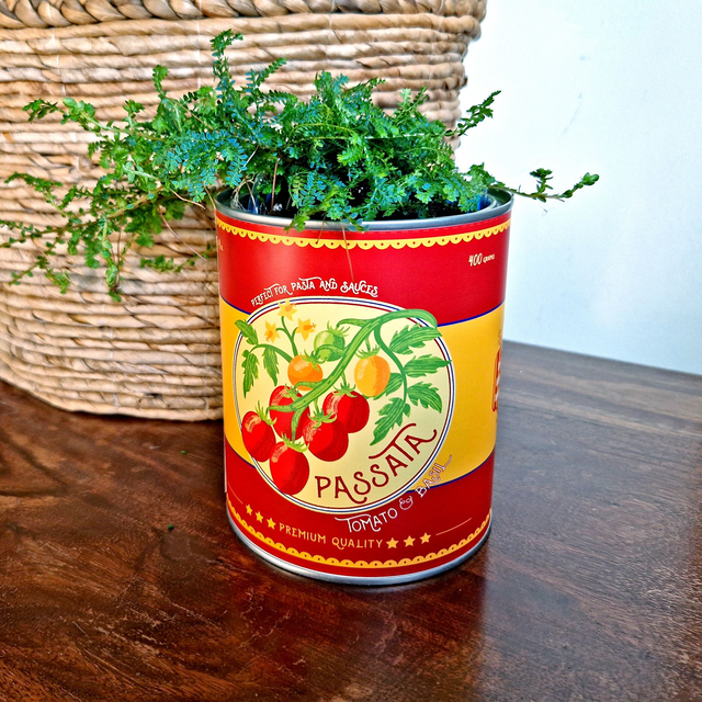 Tomato Passata Retro Style Storage Tin 
