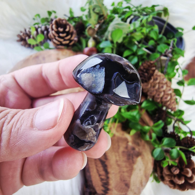 Volcano agate mushroom 