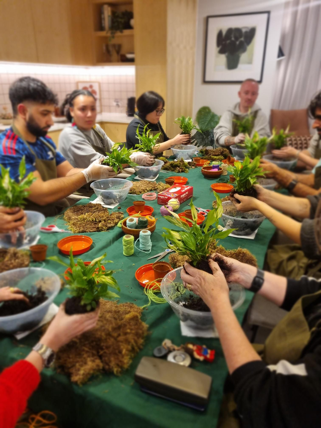 Kokidoki Kokodama workshop 15th Jan 6.30-8.00pm