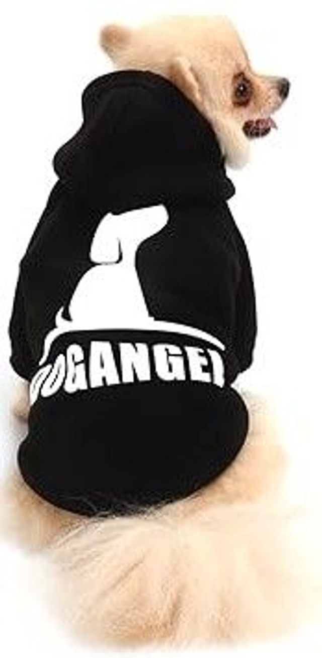 QiCheng & LYS pull "sweet" chien noir TL