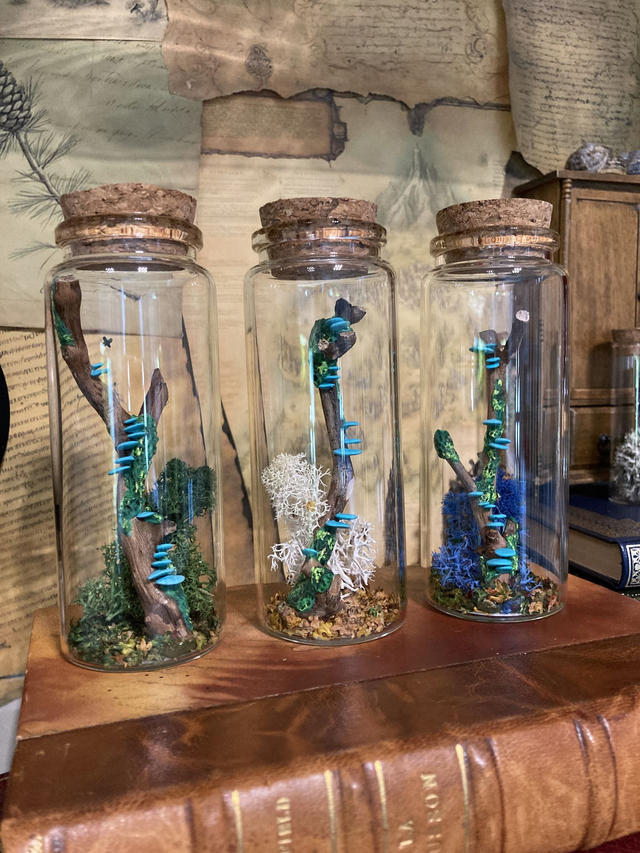 Champignon arbre turquoise