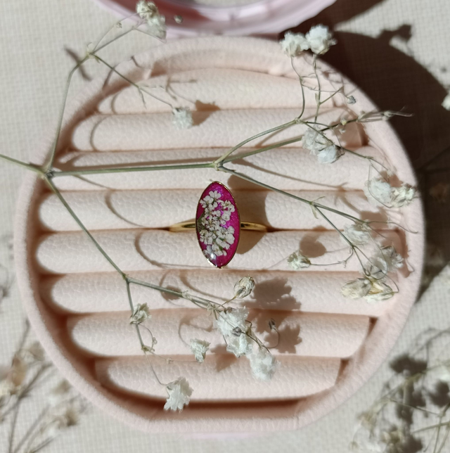 Rosalia - Douceur poudrée