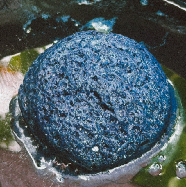 Atelier indigo du dimanche 15 février