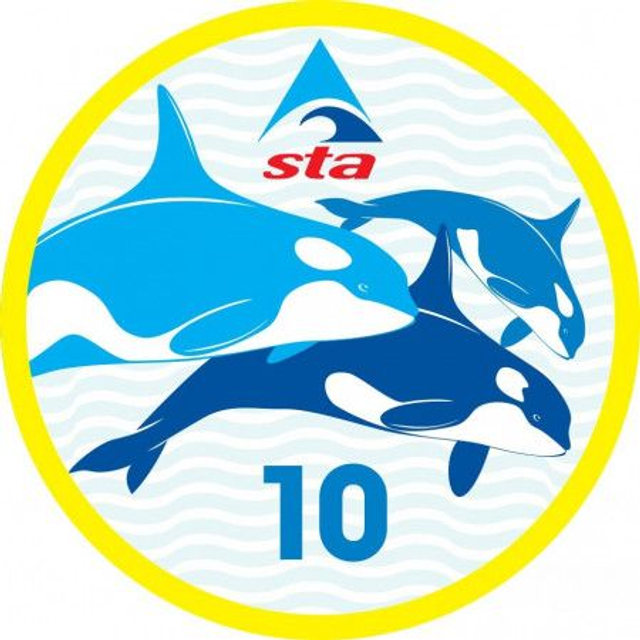 10 Metres - Certificate with Badge