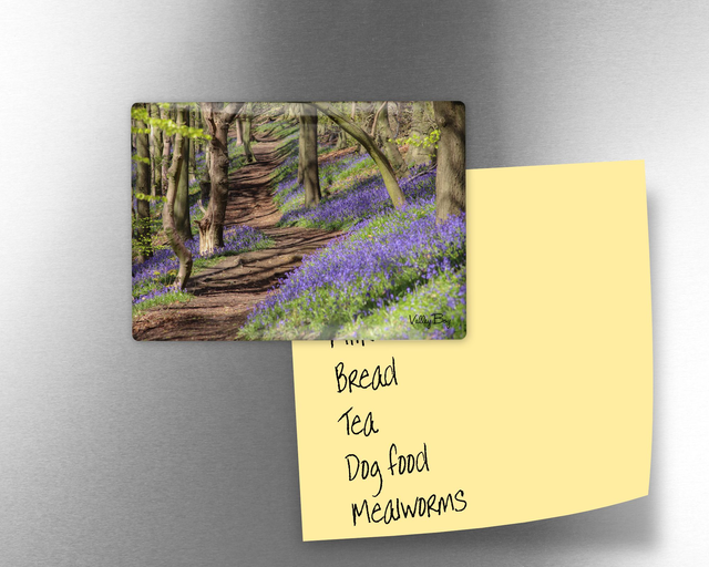 "Bluebell Woodland" Fridge Magnet  