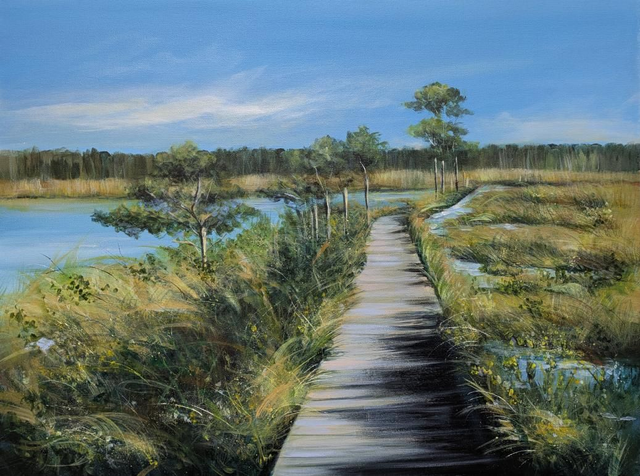 Thursley boardwalk 
