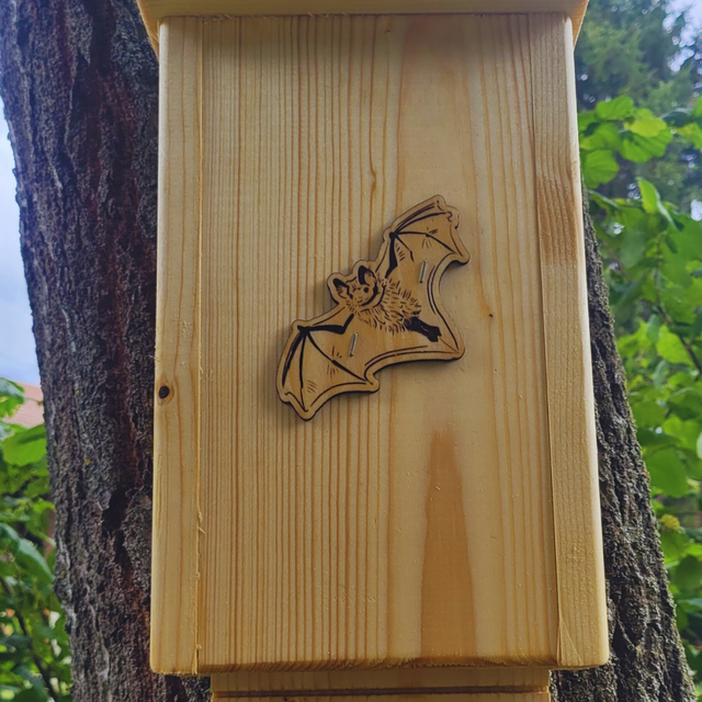 Gîte à chauve-souris 🦇