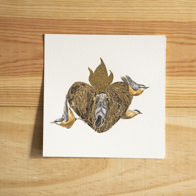 Ex-voto sittelles torchepot