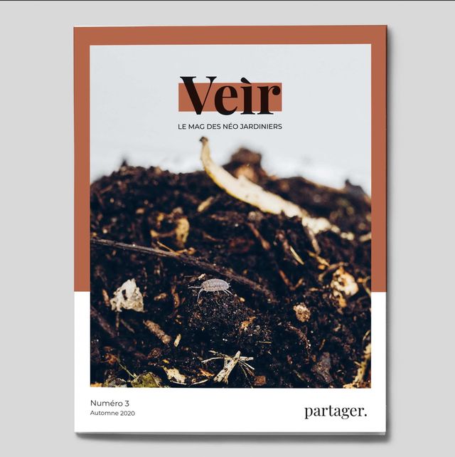 Veìr magazine