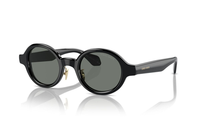 Eyewear Man Giorgio Armani  AR 8205 6060/1