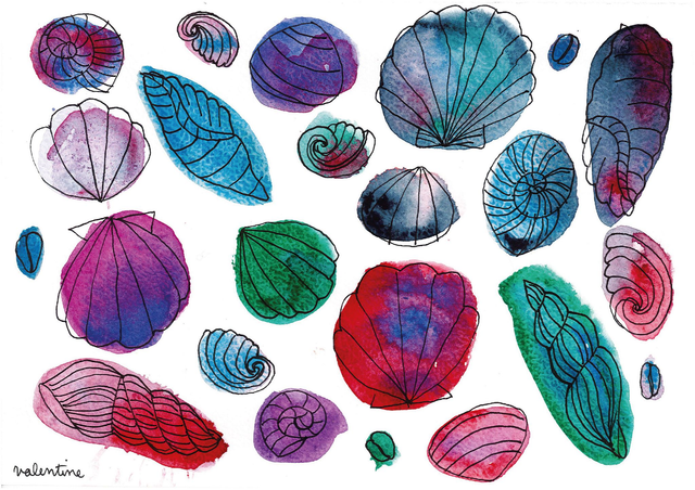 La pêche aux coquillages