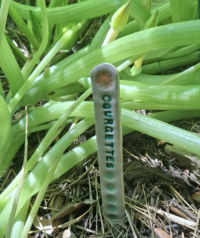 Étiquettes en céramique courgettes pour jardin potager