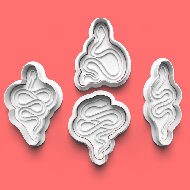 A Snake Cookie Cutter Embosser Set of 4 Cutters & Stamps Biscuit Mould Debossed Sugar Biscuits