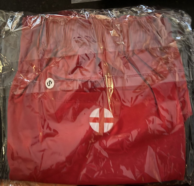 FGAoE Playing Shorts