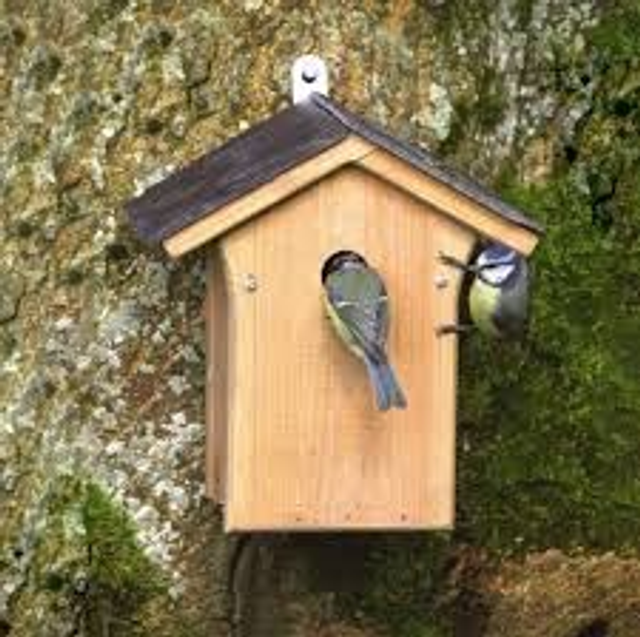 Wild Bird Nesting Box